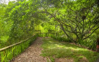 Bosque Hotel Altavista Casahotel