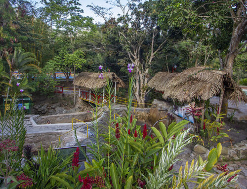 Guía Completa de los Mejores Baños Termales en Moyobamba