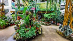 Orquidiario de Moyobamba