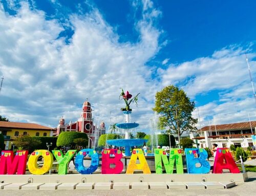 ¿Cómo Encontrar los Mejores Vuelos a Moyobamba? Guía Práctica